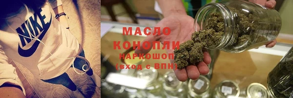 тгк Каменка