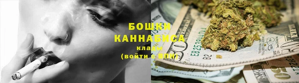 тгк Каменка