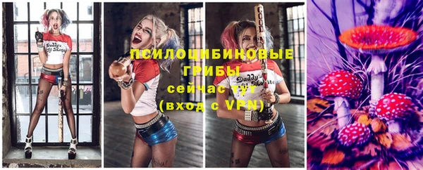 тгк Каменка
