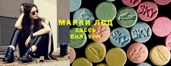 тгк Каменка