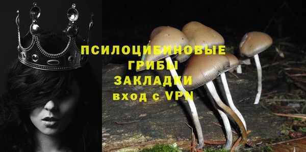 тгк Каменка