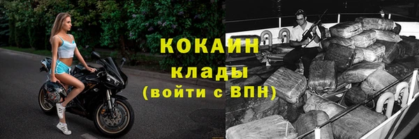 тгк Каменка