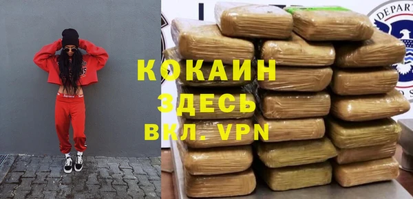 тгк Каменка