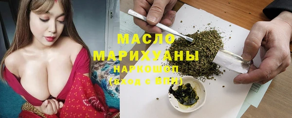тгк Каменка