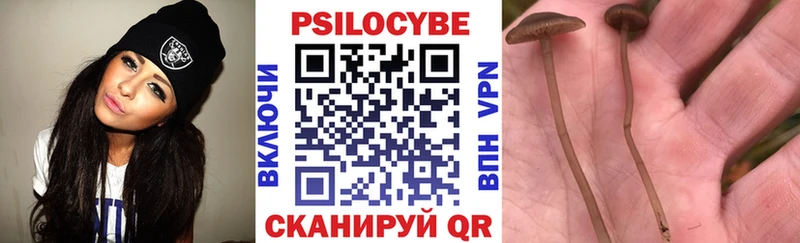 Галлюциногенные грибы ЛСД  Купить закладки  Боготол 